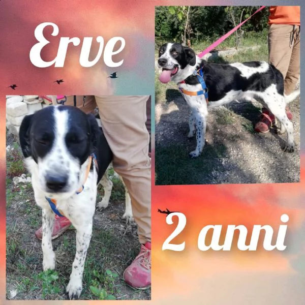 una famiglia per hervè  | Foto 3