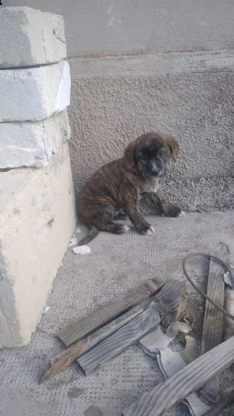 una casa e tanto amore per il piccolo e d0olce nino | Foto 0