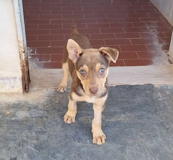 Adorabile Bonnie | Foto 3