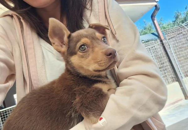 Adorabile Bonnie | Foto 1