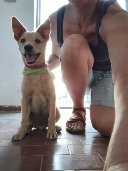 Dante piccolo monello e bellissimo | Foto 6