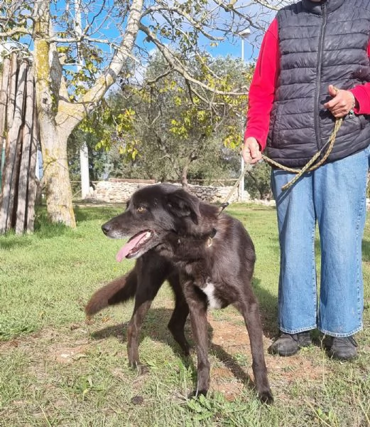 CRIK e CROK fratello e sorella | Foto 1