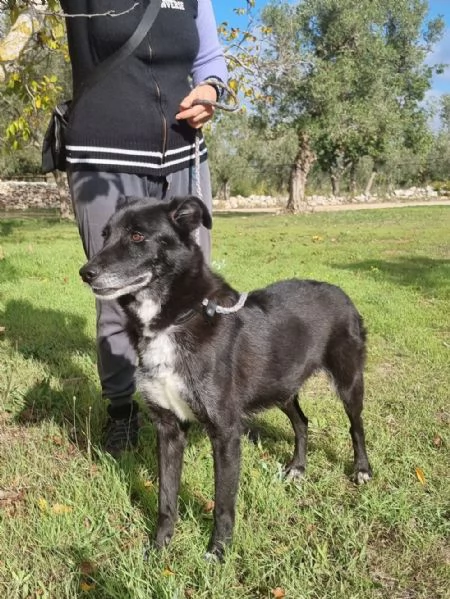 CRIK e CROK fratello e sorella | Foto 0