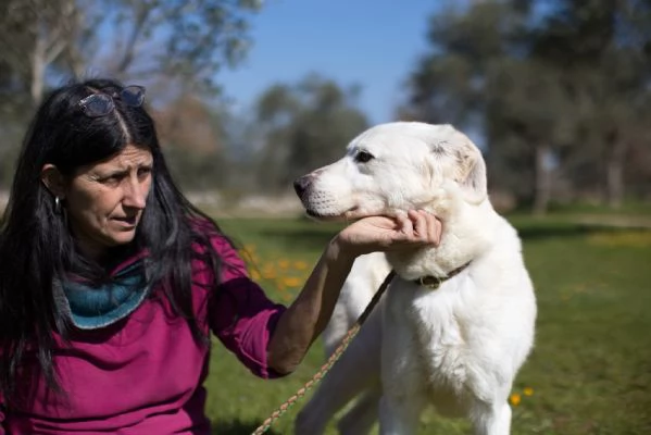 Ellen un cane che pu fiorire | Foto 2