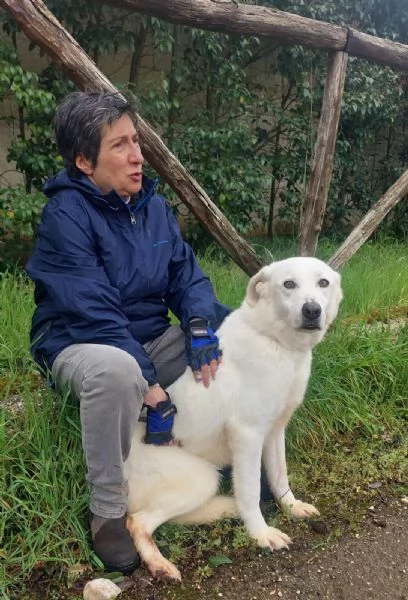 Ellen un cane che pu fiorire | Foto 0