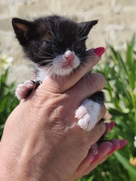 May la piccolissima  | Foto 6