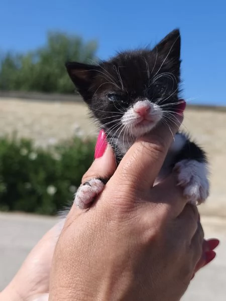 May la piccolissima  | Foto 4