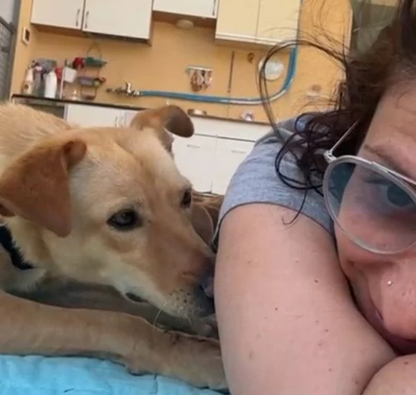 Gloria il cane che porta il sole in casa  | Foto 1