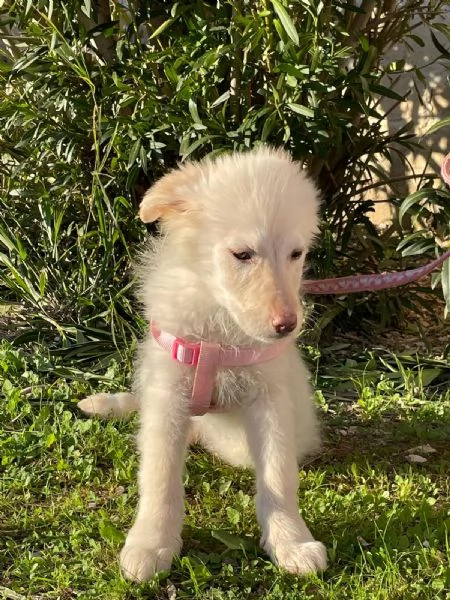 Ninfa egrave rimasta sola | Foto 2