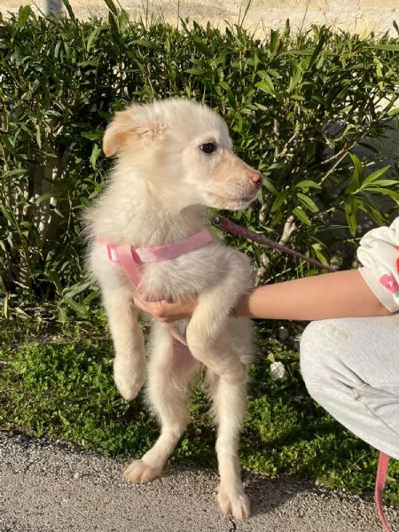 Ninfa egrave rimasta sola | Foto 1