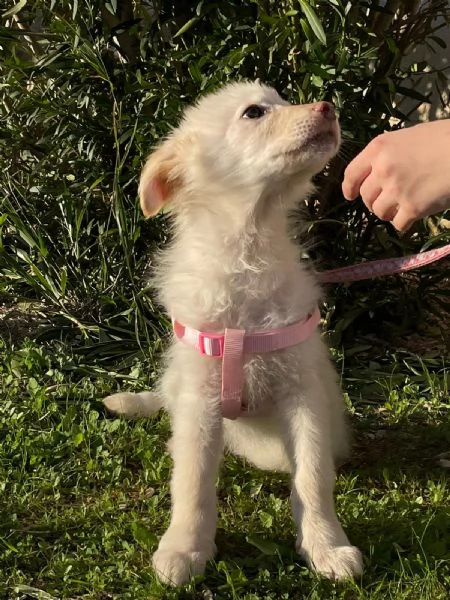 Ninfa egrave rimasta sola | Foto 0