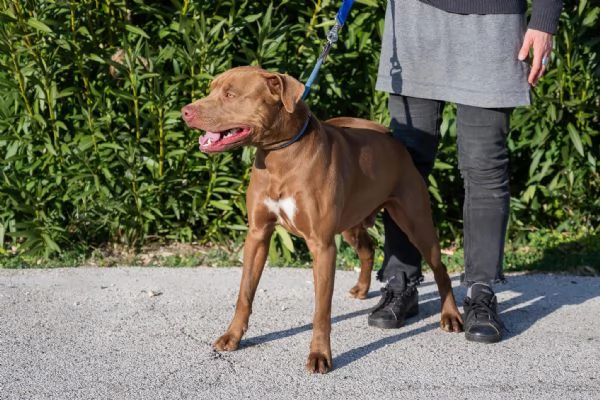 Jago cerca casa | Foto 1