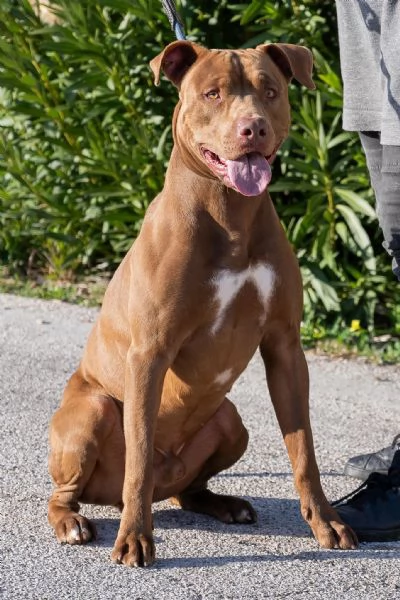 Jago cerca casa | Foto 0