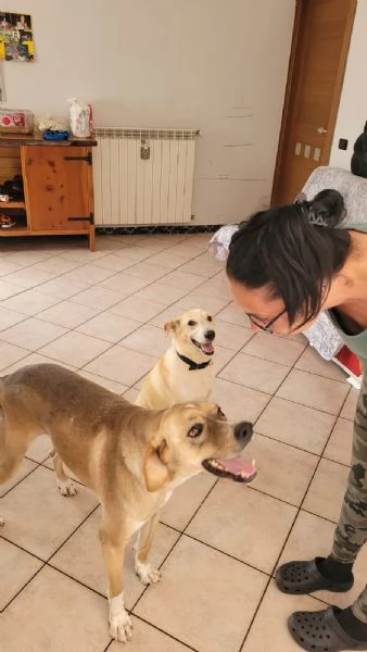 Dylan splendido meticcio | Foto 3