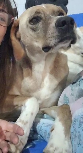 Dylan splendido meticcio | Foto 3