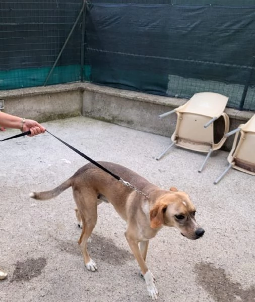 Dylan splendido meticcio | Foto 1