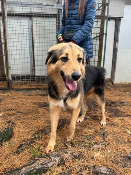 Splendido meticcio MILOU | Foto 0