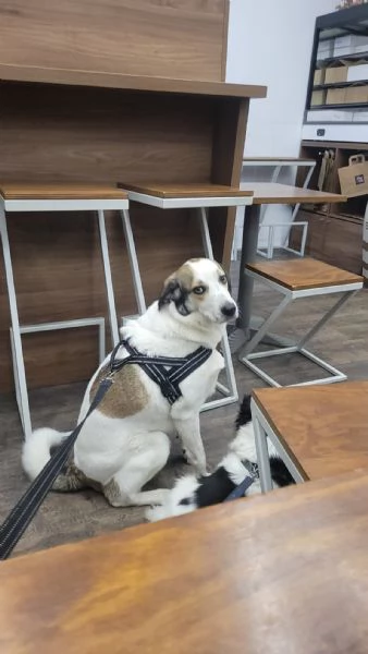 Splendida meticcia  TWITTY | Foto 5