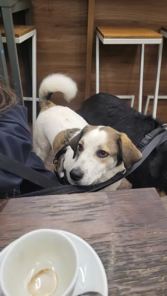 Splendida meticcia  TWITTY | Foto 3