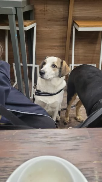 Splendida meticcia  TWITTY | Foto 2