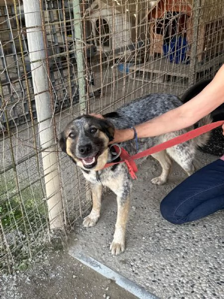 Splendida meticcia  DIVY | Foto 6