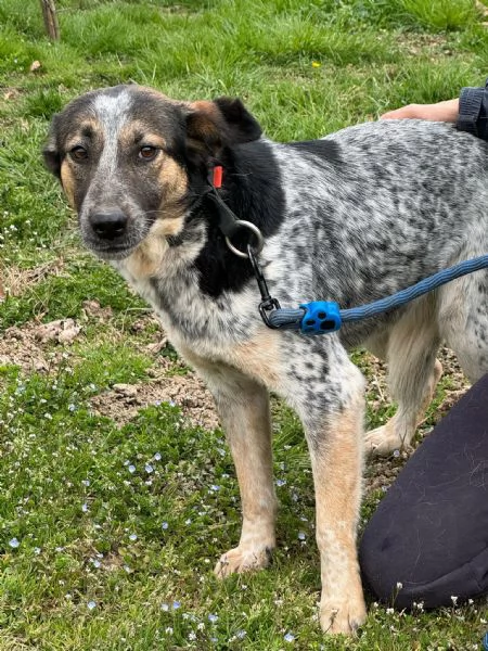 Splendida meticcia  DIVY | Foto 5