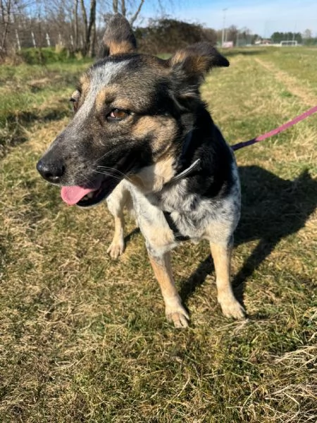 Splendida meticcia  DIVY | Foto 3