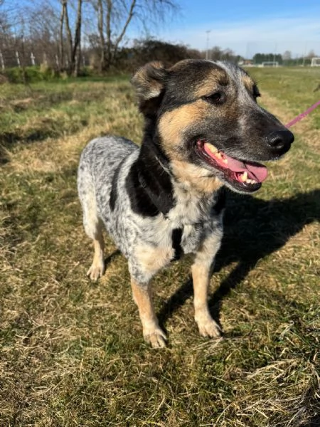 Splendida meticcia  DIVY | Foto 1