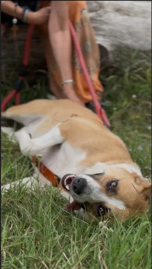 Splendida meticcia  MILLIE | Foto 3