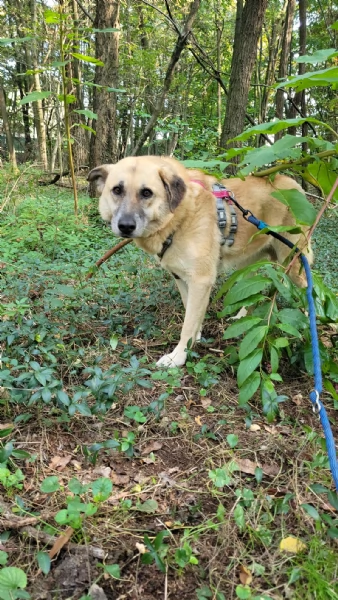 Splendida meticcia  RAJA | Foto 6