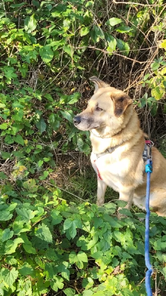 Splendida meticcia  RAJA | Foto 5