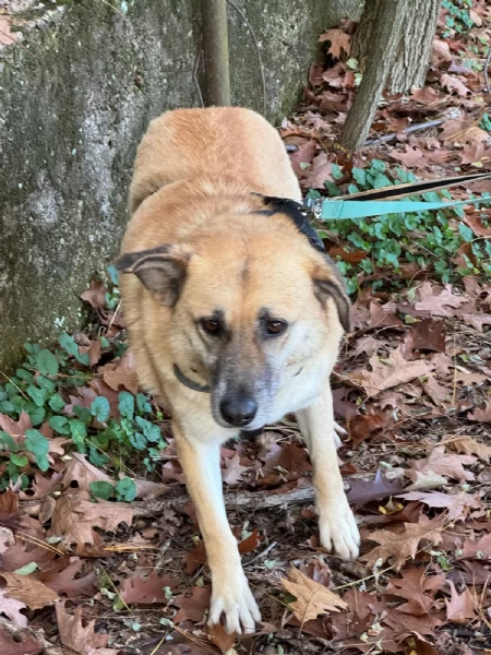 Splendida meticcia  RAJA | Foto 4