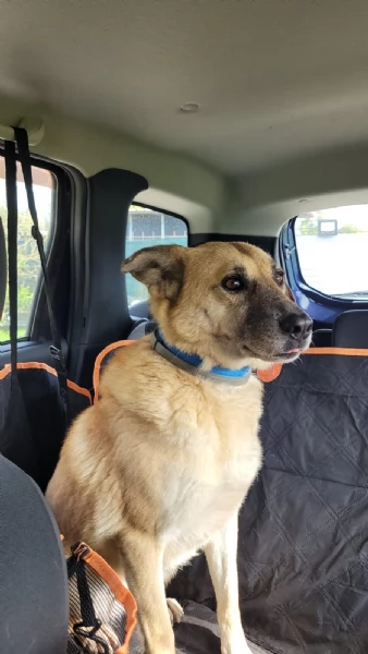 Splendida meticcia  RAJA | Foto 3