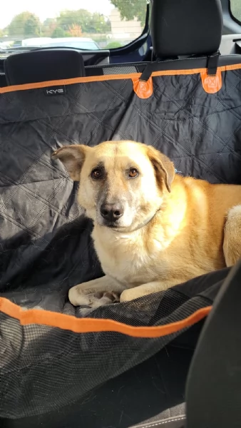 Splendida meticcia  RAJA | Foto 2