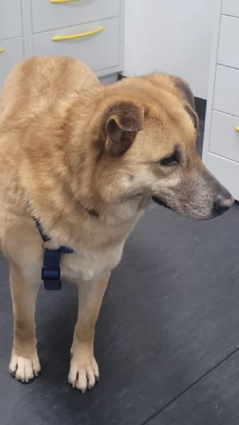 Splendida meticcia  RAJA | Foto 4