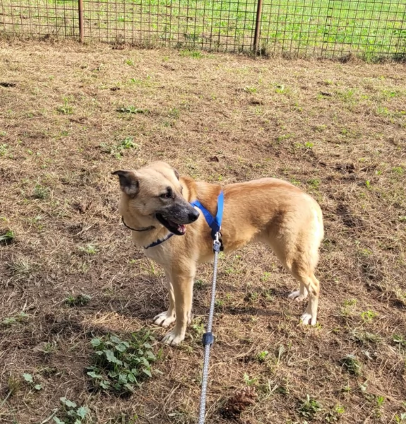 Splendida meticcia  RAJA | Foto 1