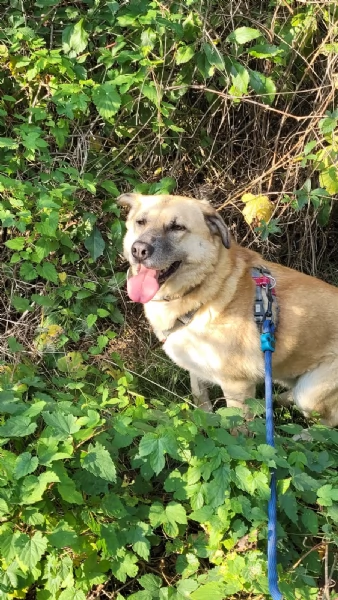 Splendida meticcia  RAJA | Foto 0