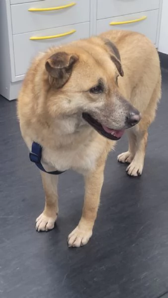 Splendida meticcia  RAJA | Foto 3