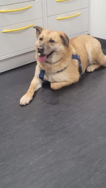 Splendida meticcia  RAJA | Foto 1