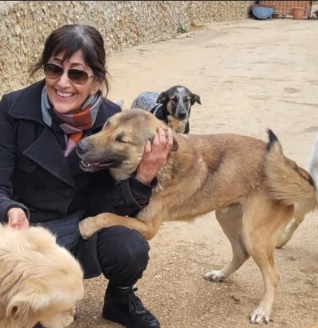 Splendido meticcio WHISKY | Foto 2