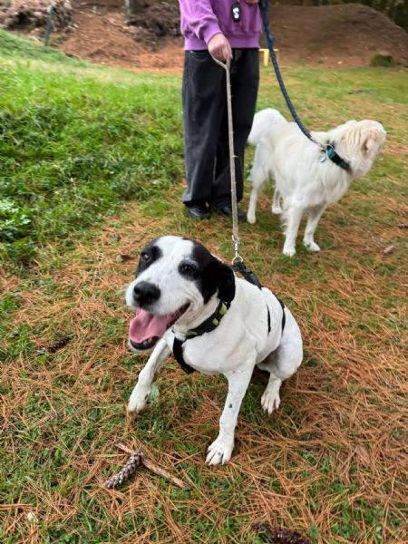 Splendida meticcia BELLA