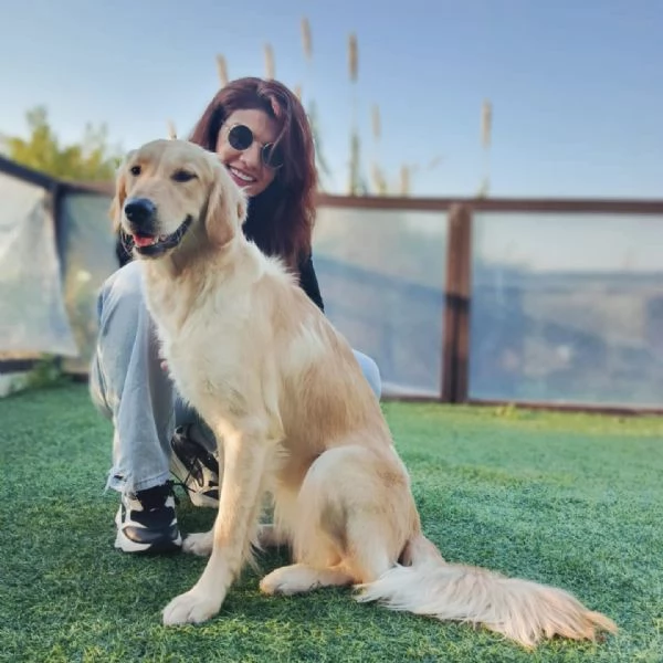 Splendida Golden Retriever  KIRA | Foto 0