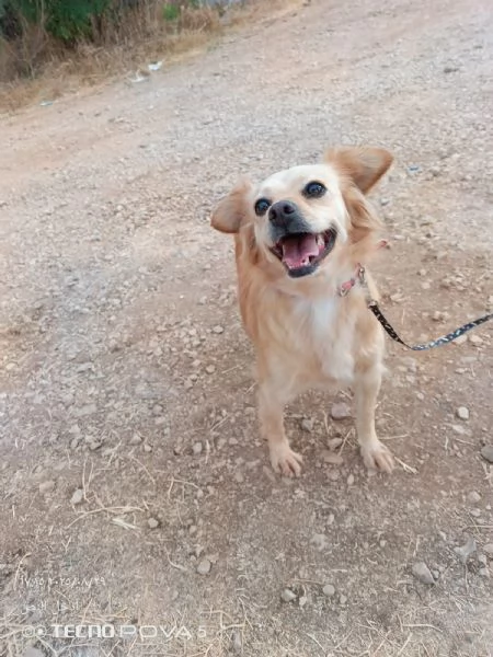 Najma una dolce meticcia | Foto 4