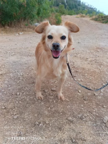 Najma una dolce meticcia | Foto 2