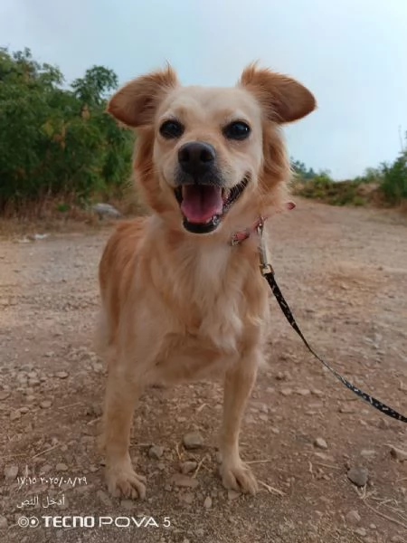 Najma una dolce meticcia | Foto 1