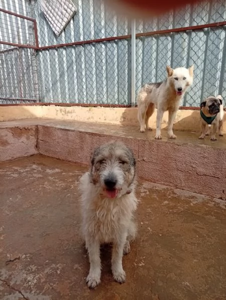 Misty una giocherellona spettinata | Foto 4