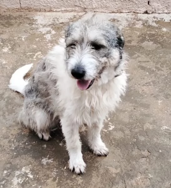 Misty una giocherellona spettinata | Foto 2