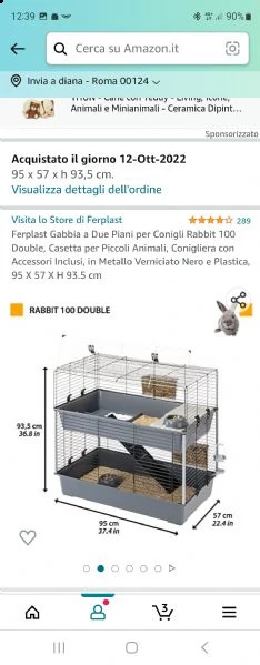 due conigli ariete con gabbia a due piani