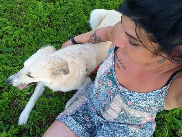 cagnolina di un anno cerca casa | Foto 2