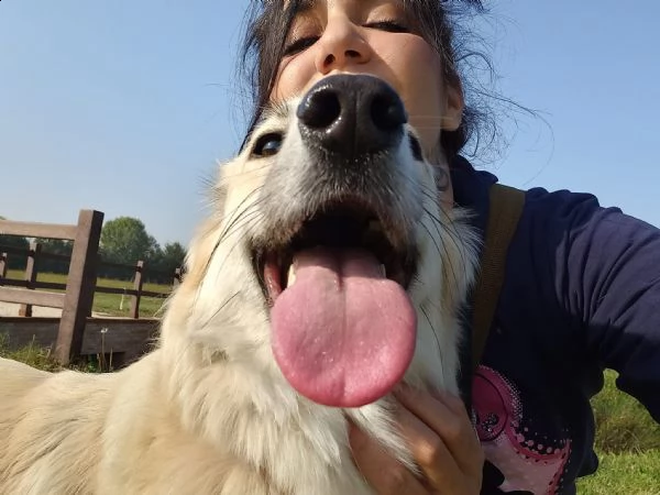 cagnolina di un anno cerca casa | Foto 1